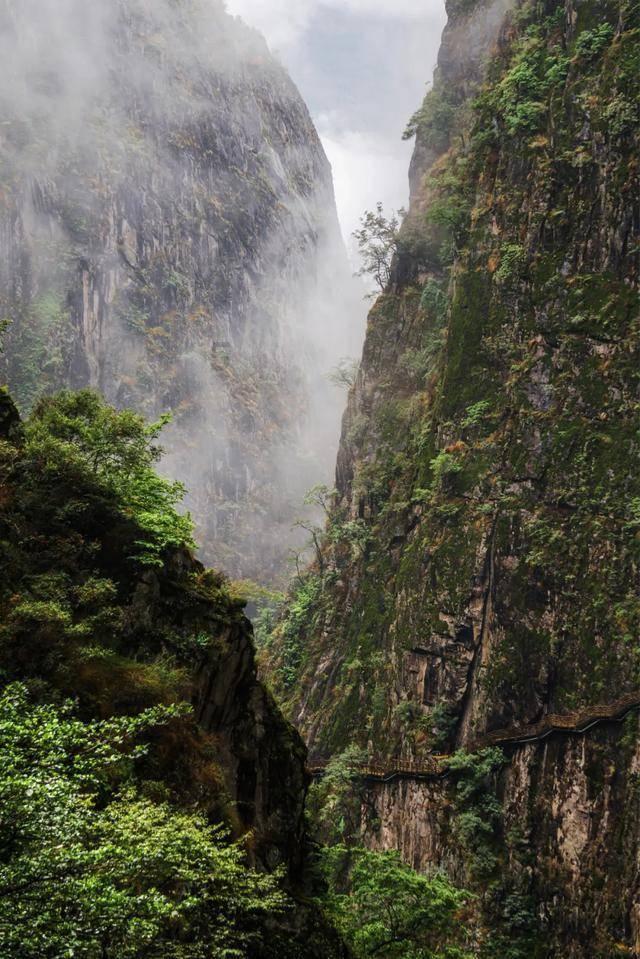 高层住宅的烟道为什么有时会发出鸣叫声？